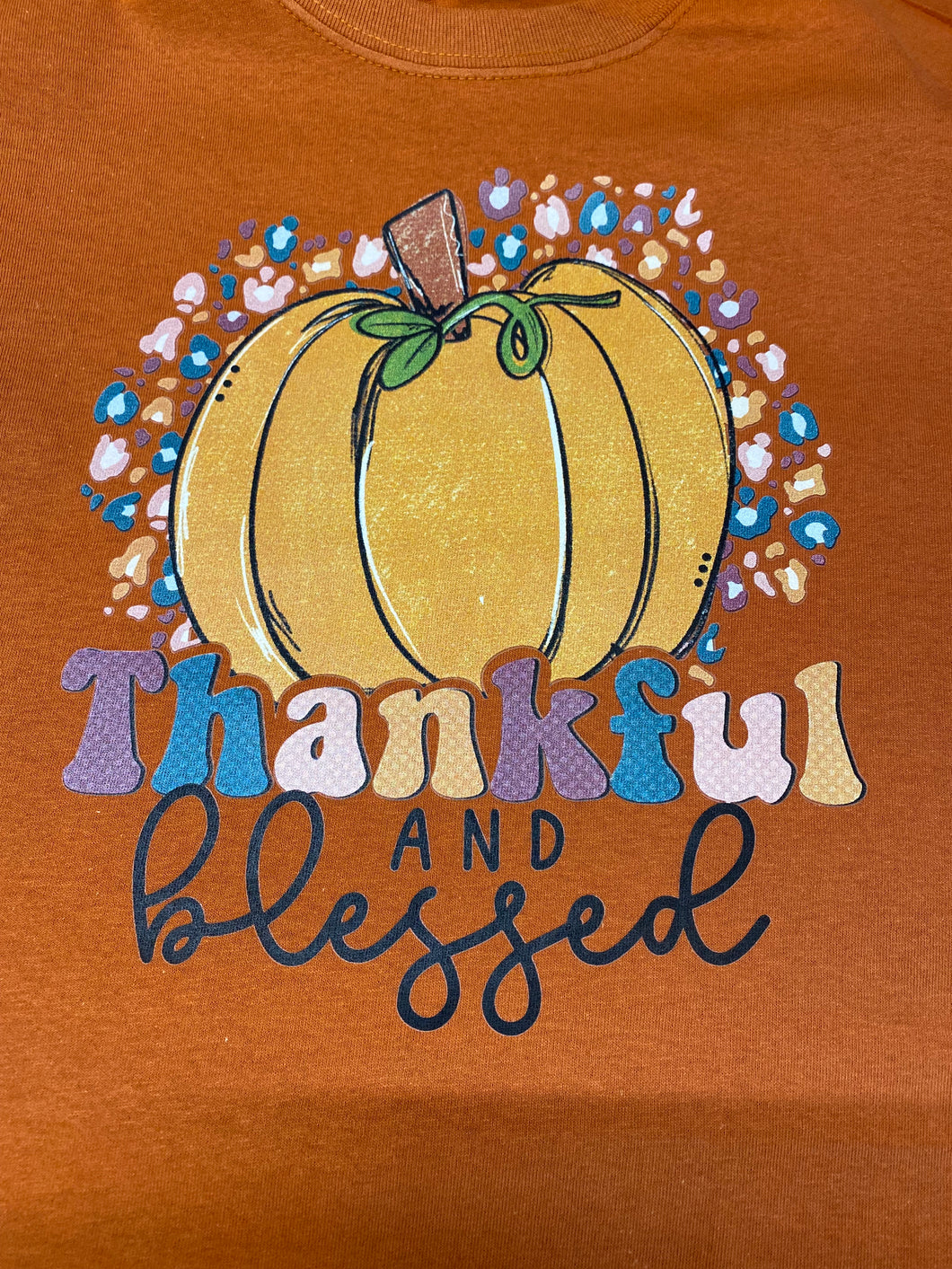 Thankful and Blessed Shirt